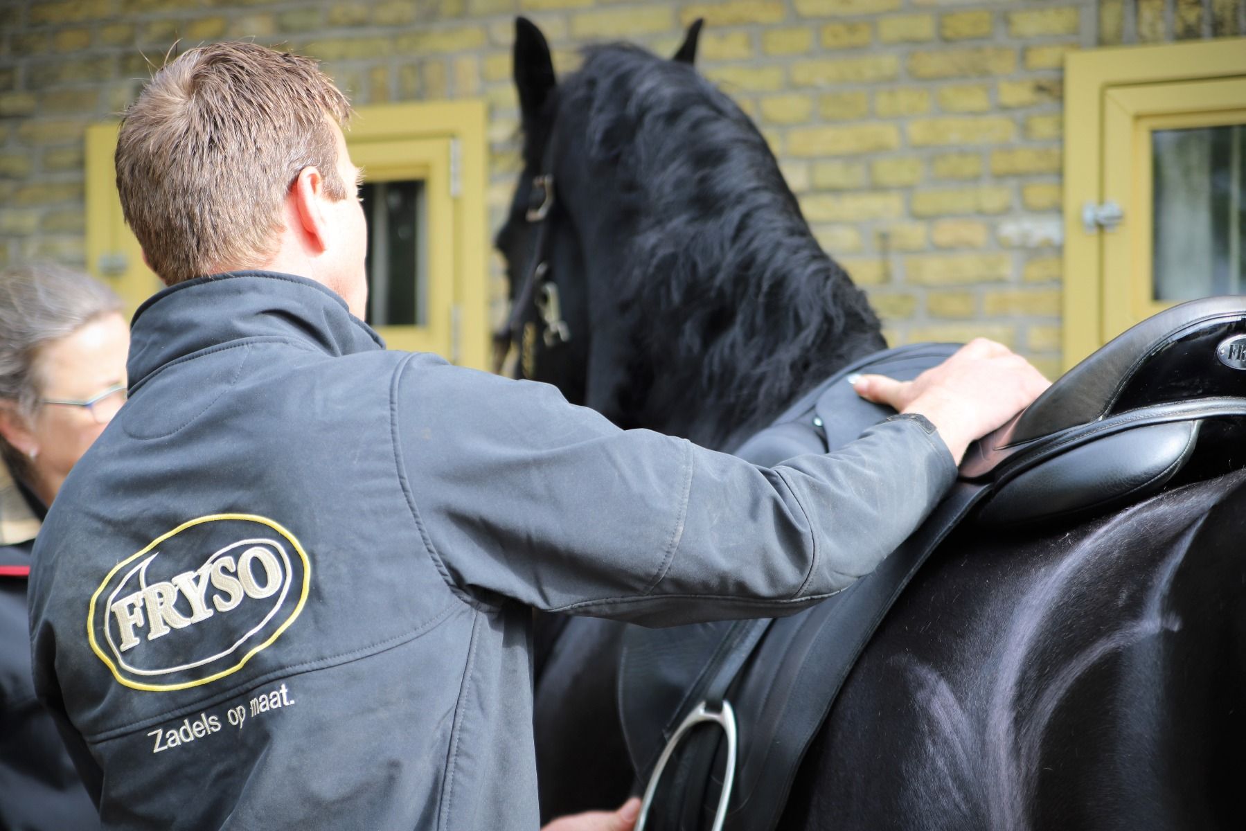 Zadelpassen Friese Paarden - Fryso Zadels