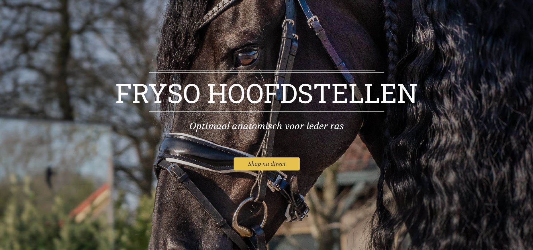 Fryso hoofdstellen