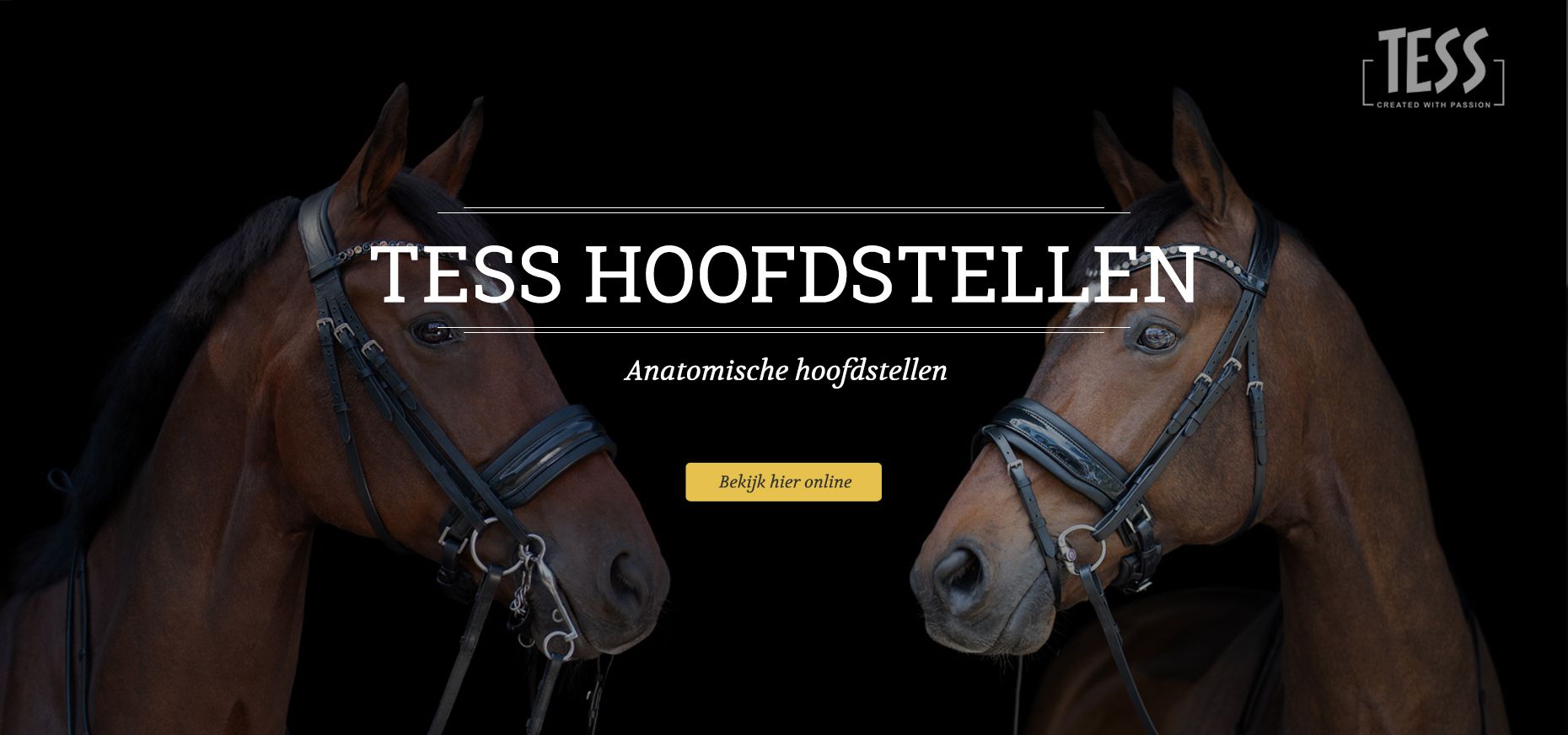 Tess Hoofdstellen