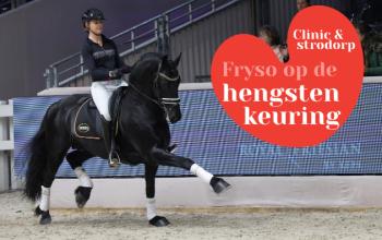 Strodorp KFPS Hengstenkeuring 2026