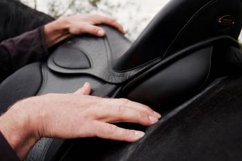 Het belang van een halfjaarlijkse zadelcontrole