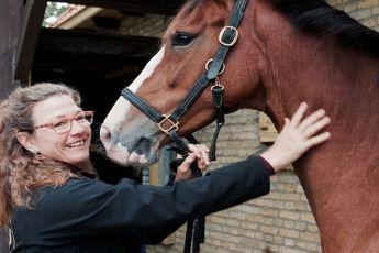 Marian Raven helpt u in het zadel