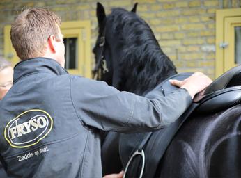 Zadelpassen bij & met Friese Paarden