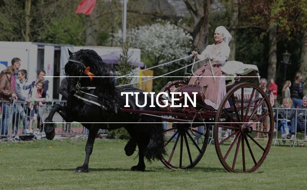 Tuigen