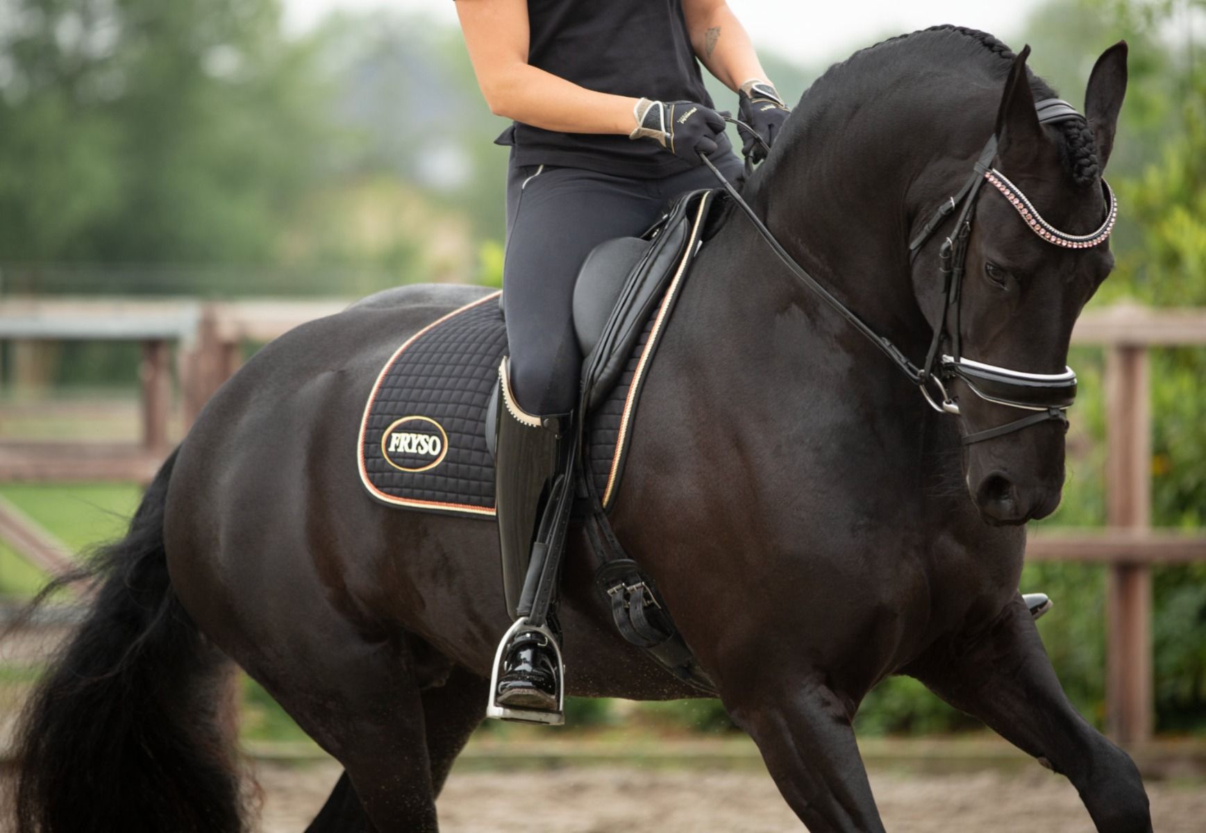 Zo weet welke maat singel jouw paard moet hebben - Tweespan Online