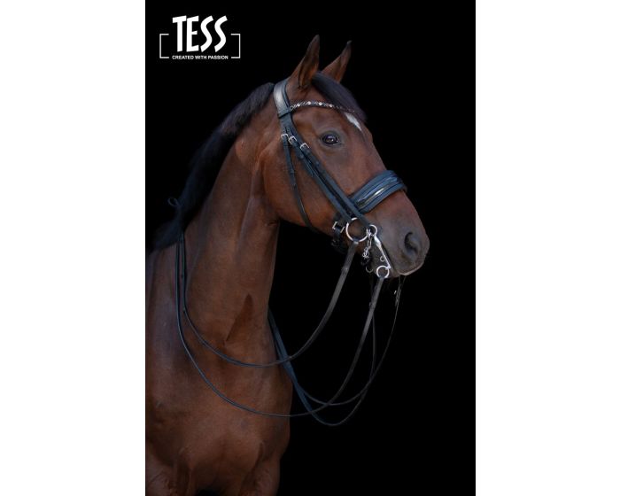 Double bridle hot sale
