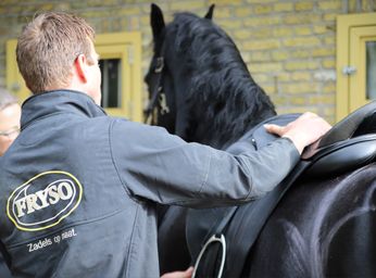 Zadelpassen bij & met Friese Paarden