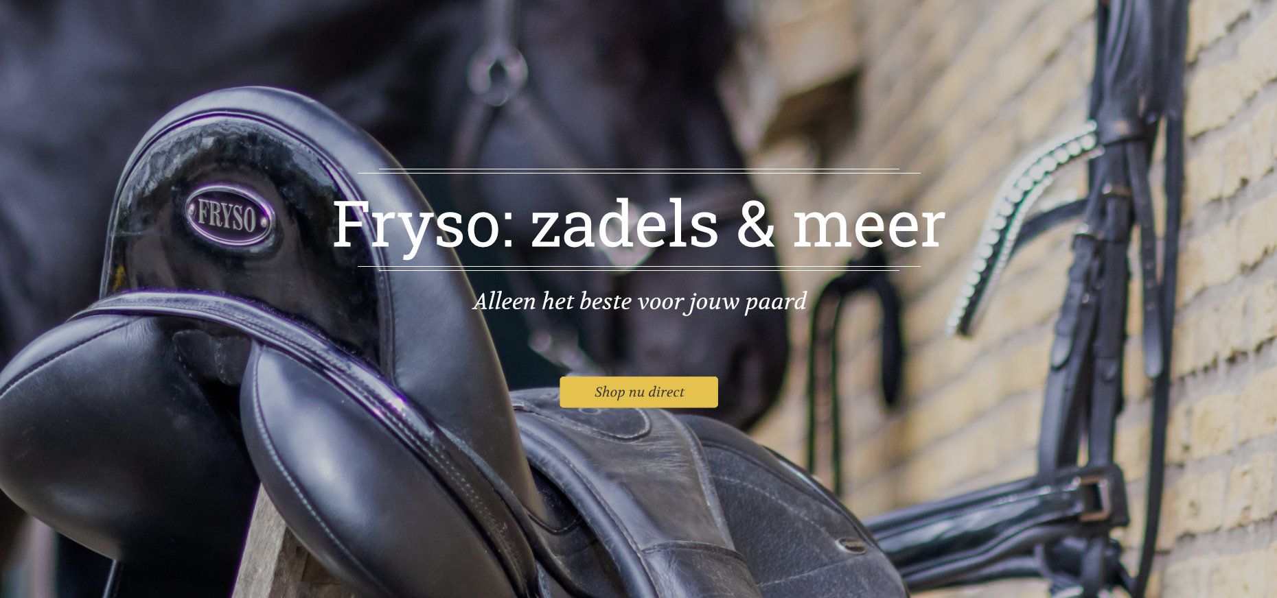 Fryso zadels en meer